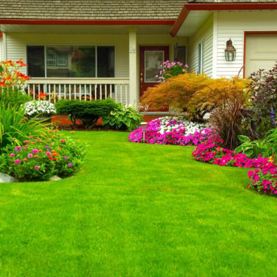 Walkout garden