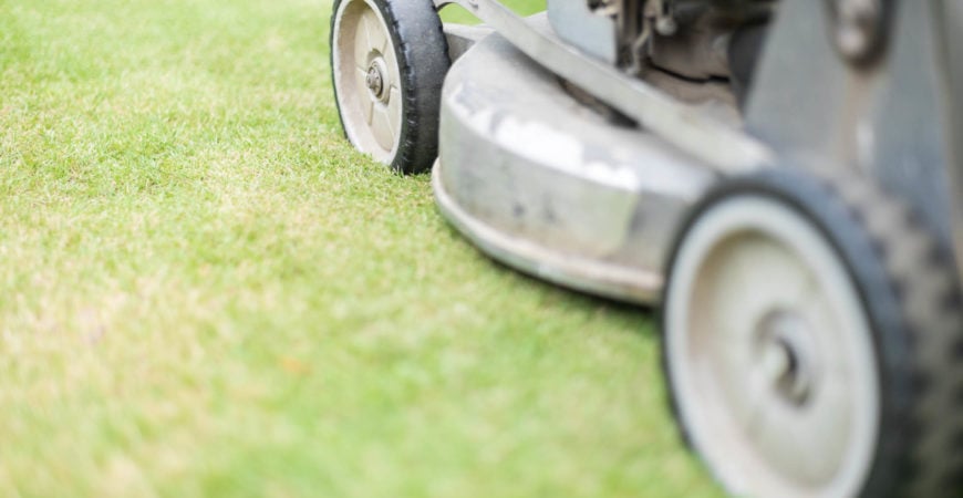 Grounds Care